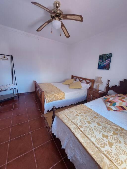 Povoa de Sao Miguel Casa Amarela - Praias Alqueva מראה חיצוני תמונה